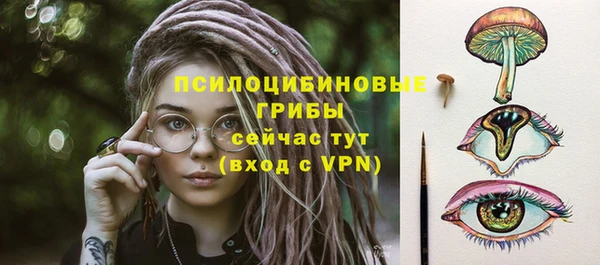 прущий лед Магас