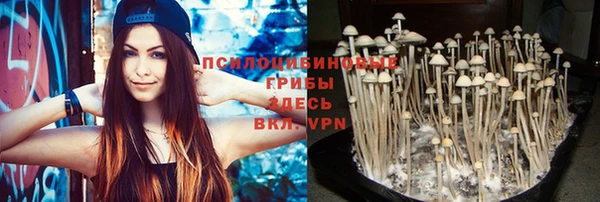 apvp Майский