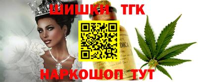 гашик Лесосибирск