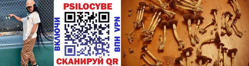 Галлюциногенные грибы Cubensis  Сокол 
