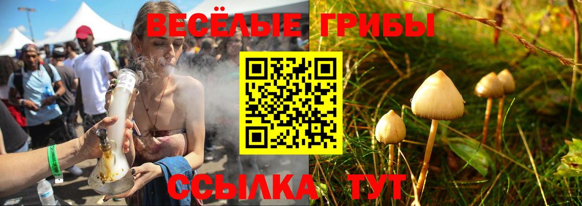 Псилоцибиновые грибы Cubensis  Галлюциногенные грибы Cubensis  Сокол  Вход с VPN 