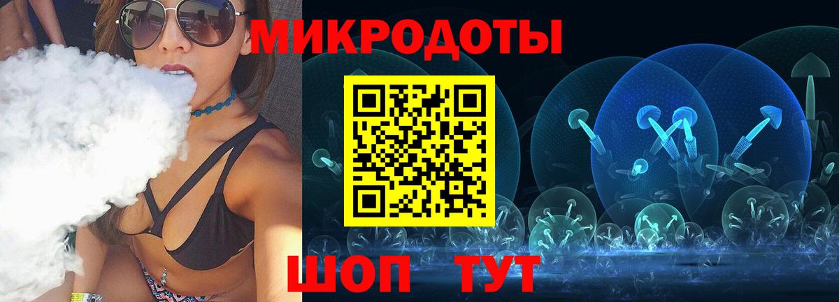 Псилоцибиновые грибы Psilocybine cubensis Сокол