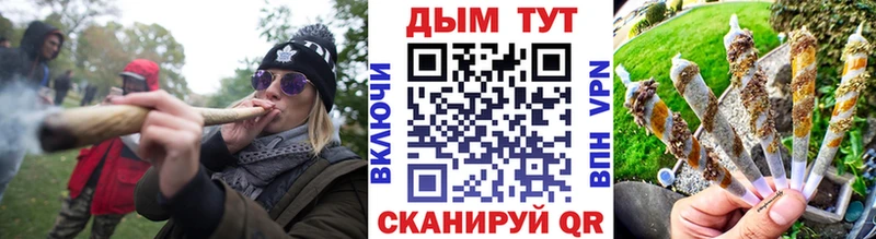купить наркоту  Сокол  Шишки марихуана сатива 